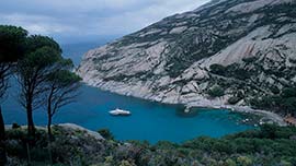 Informazioni riguardo: Isola di Montecristo