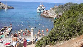 Informazioni riguardo: Isola di Giannutri