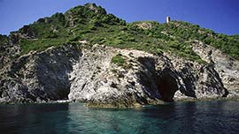 Informazioni riguardo: Isola di Gorgona