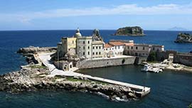 Informazioni riguardo: Isola di Pianosa
