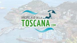 Informazioni riguardo: Giglio Arenella